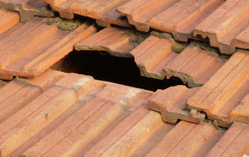 roof repair Ecton