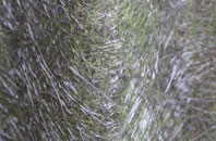 Ecton fibreglass roof work